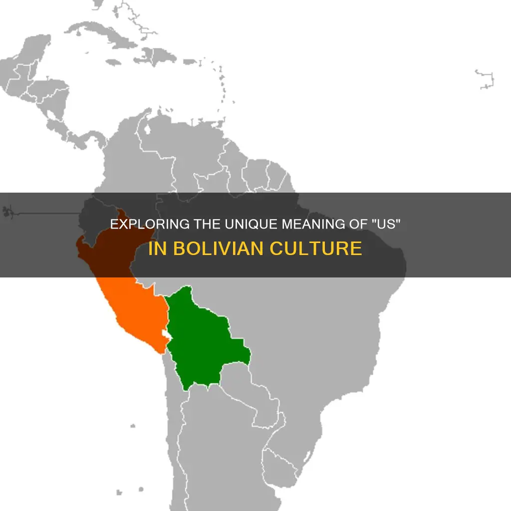 what dies us mean in bolivia