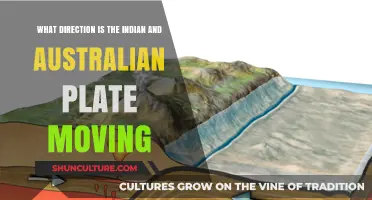 Indian-Australian Plate Tectonics: Moving Closer or Drifting Apart?