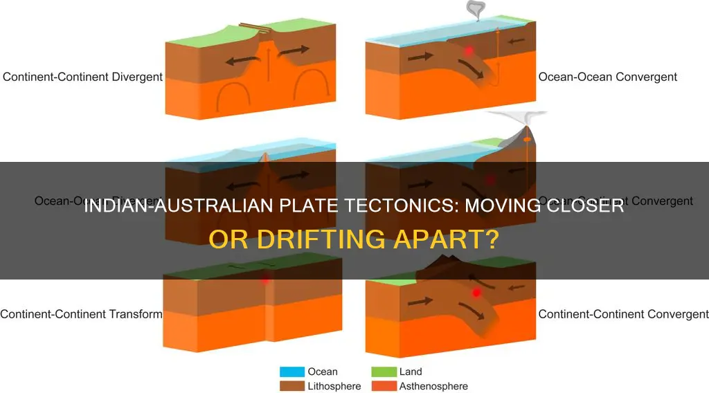 what direction is the indian and australian plate moving