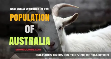 Goat Population Control in Australia: Diseases and Their Impact
