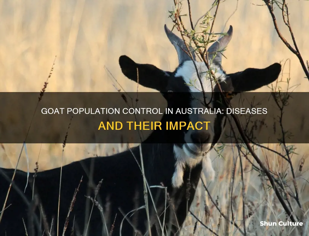 what disease controlled the goat population of australia