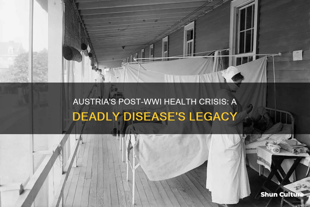 what disease killed many citizens after wwi in austria