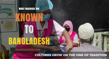 Exploring Bangladesh's Health Challenges: Known Diseases and Public Health Concerns