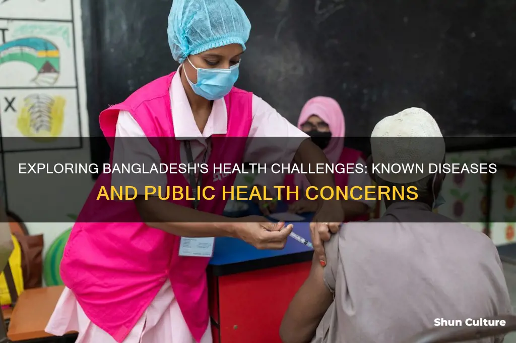 what diseases are known to bangladesh