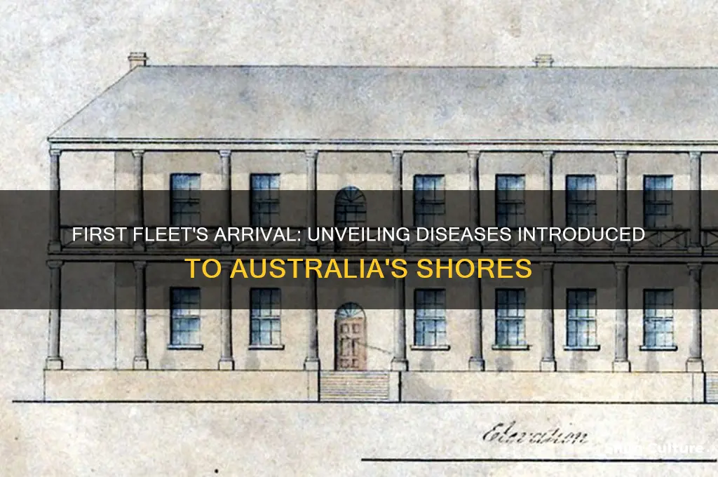 what diseases did the first fleet bring to australia