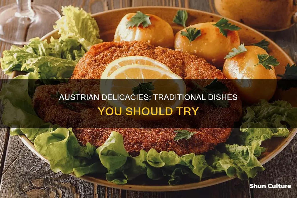 what dishes do they make in austria