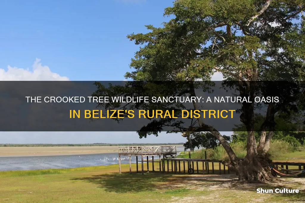 what district is crooked tree wildlife sanctuary in belize