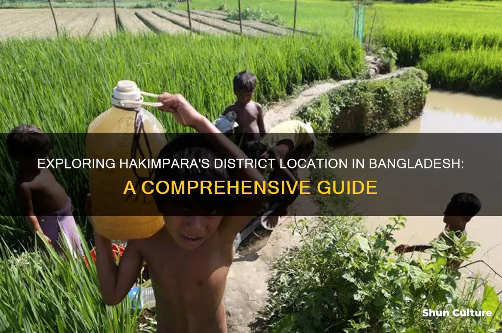 what district is hakimpara in bangladesh