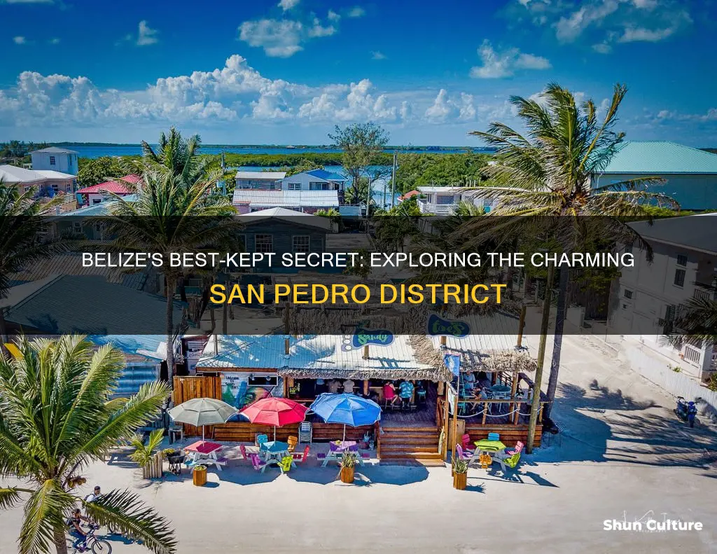 what district is san pedro belize