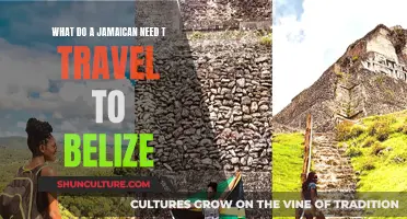 Jamaican Travel Requirements for Belize: Unveiling the Process