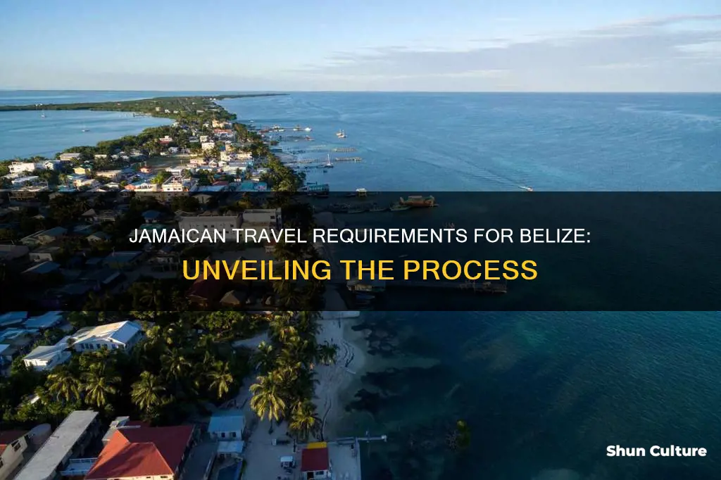 what do a jamaican need t travel to belize