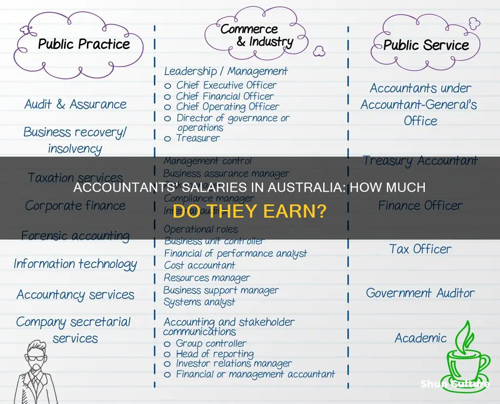 what do accountants make in australia
