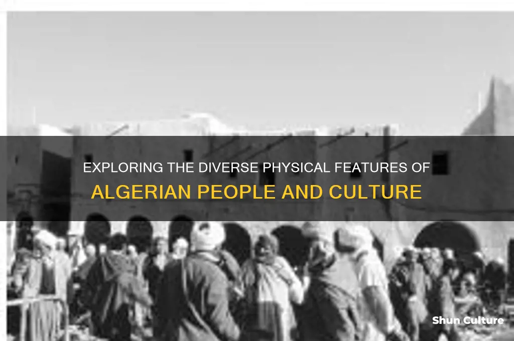 what do algerian people look like
