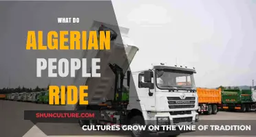 Exploring Algeria's Transportation: What Vehicles Do Algerian People Ride?