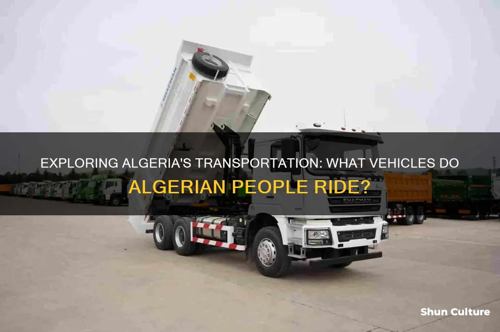 what do algerian people ride