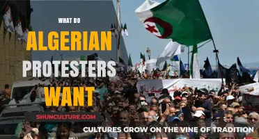 Algerian Protesters' Demands: Unraveling the Movement's Core Objectives and Aspirations