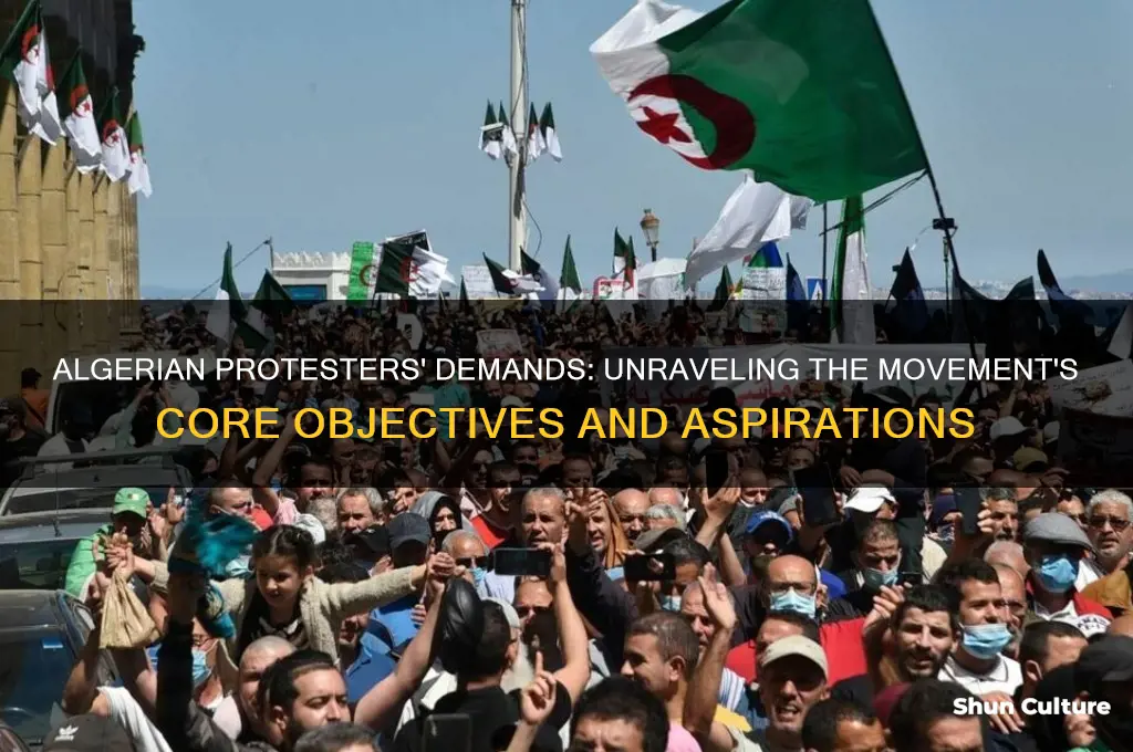 what do algerian protesters want