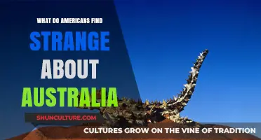 Strange Aussie Facts: An American Perspective