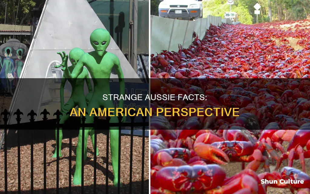 what do americans find strange about australia