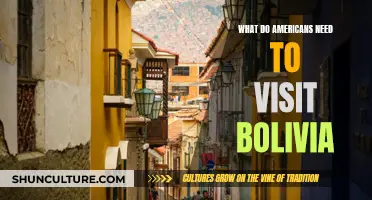 Exploring Bolivia: Travel Requirements for Americans