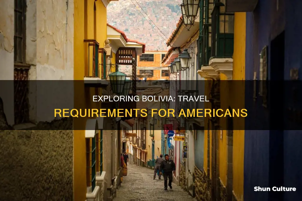 what do americans need to visit bolivia