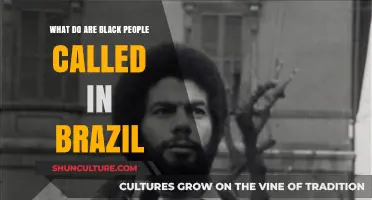Understanding Racial Identity: What Are Black People Called in Brazil?