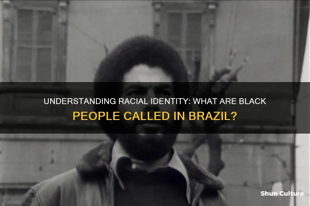 what do are black people called in brazil