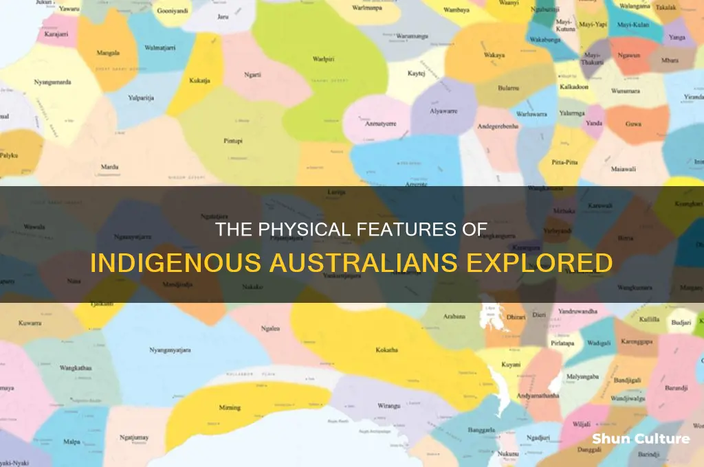 what do australian aborigines look like