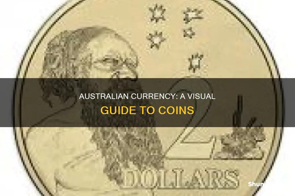 what do australian coins look like