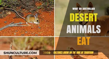 Australian Desert Animals: Their Unique Diets