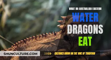 Eastern Water Dragons: Understanding Their Unique Dietary Habits