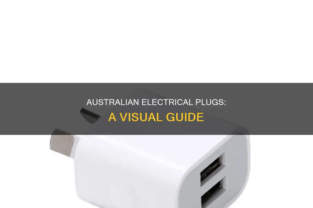 what do australian electrical plugs look like