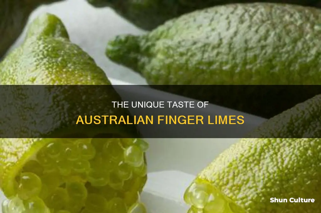 what do australian finger limes taste like