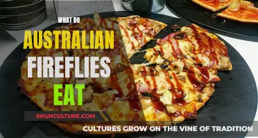 Fireflies Down Under: What's on the Menu?