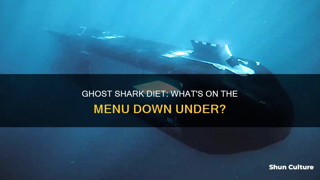 what do australian ghost sharks eat