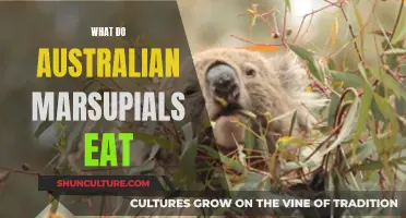 Australian Marsupials' Diet: What Do They Eat?