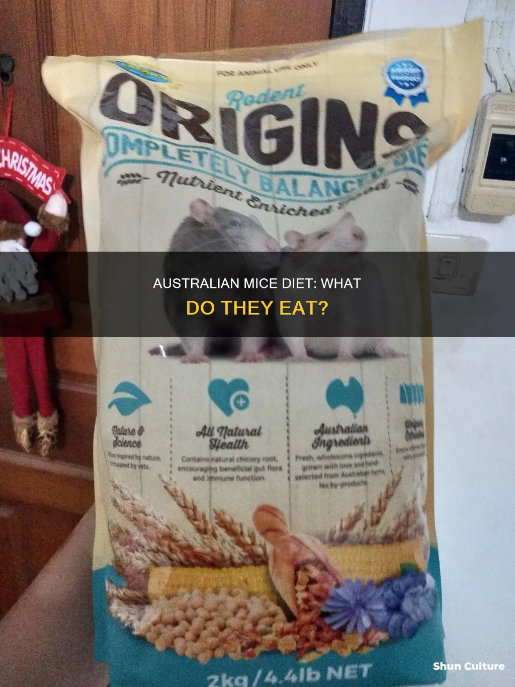 what do australian mice eat