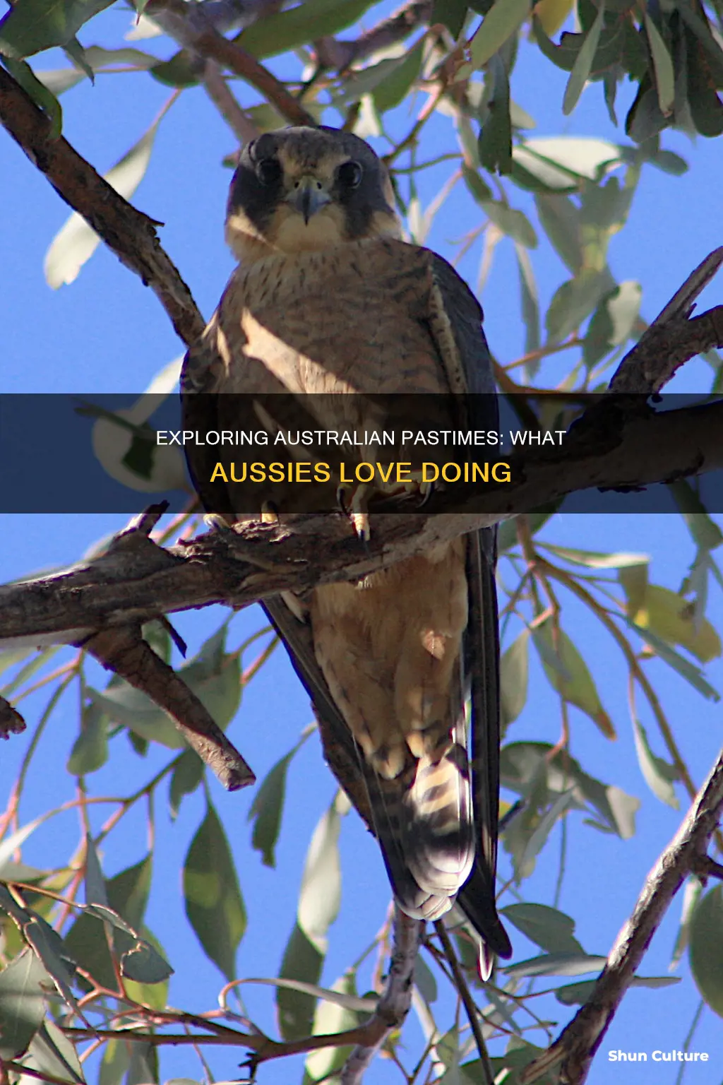 what do australian people like to do