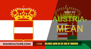 Austria-Hungary: A Complex Dual-Monarchy Explained