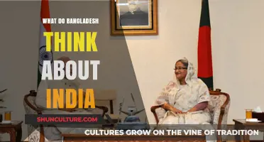 Bangladesh's Perspective: Understanding Their Views on Neighboring India