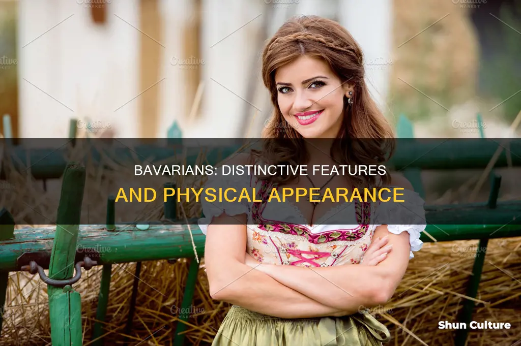 what do bavarians look like