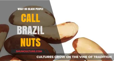 What’s the Brazilian Nut Called in Black Communities? A Cultural Insight