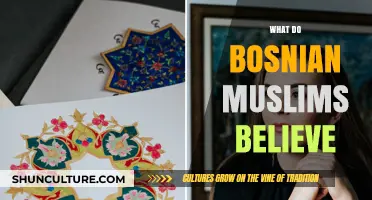 Understanding Bosnian Muslim Beliefs: Faith, Culture, and Traditions Explained