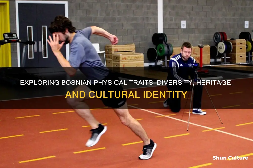 what do bosnians look like