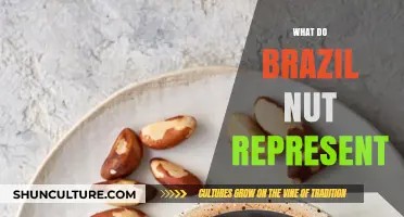 Brazil Nuts: Symbolism, Cultural Significance, and Nutritional Value Explored