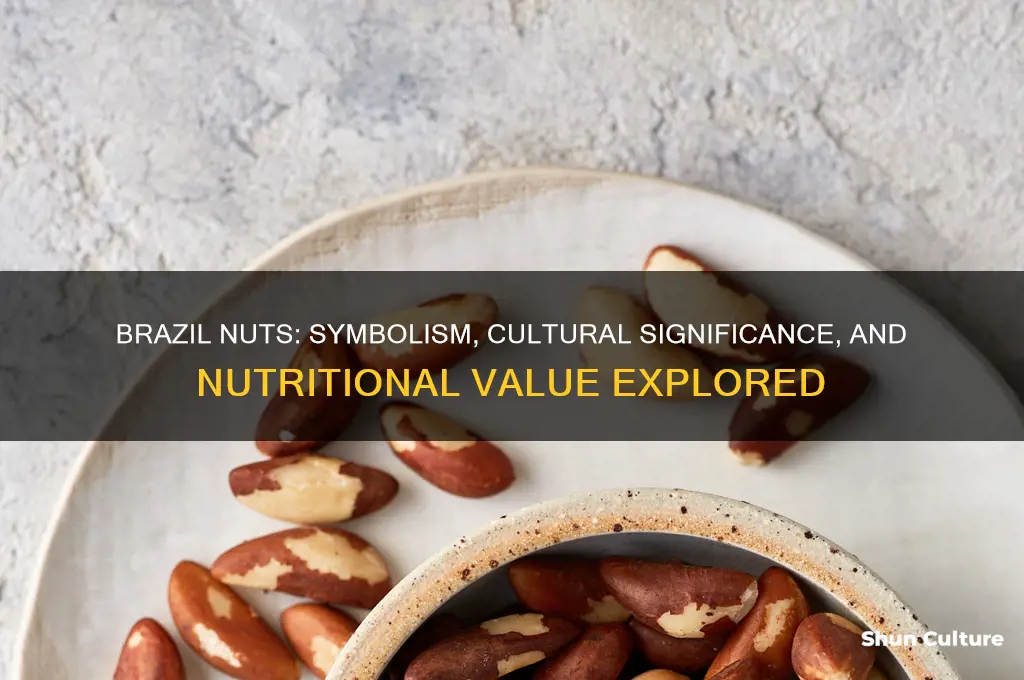 what do brazil nut represent