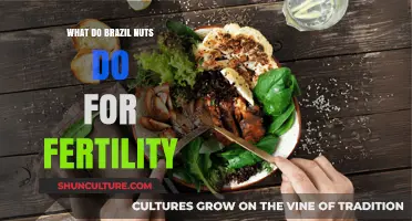 Boosting Fertility Naturally: The Surprising Benefits of Brazil Nuts