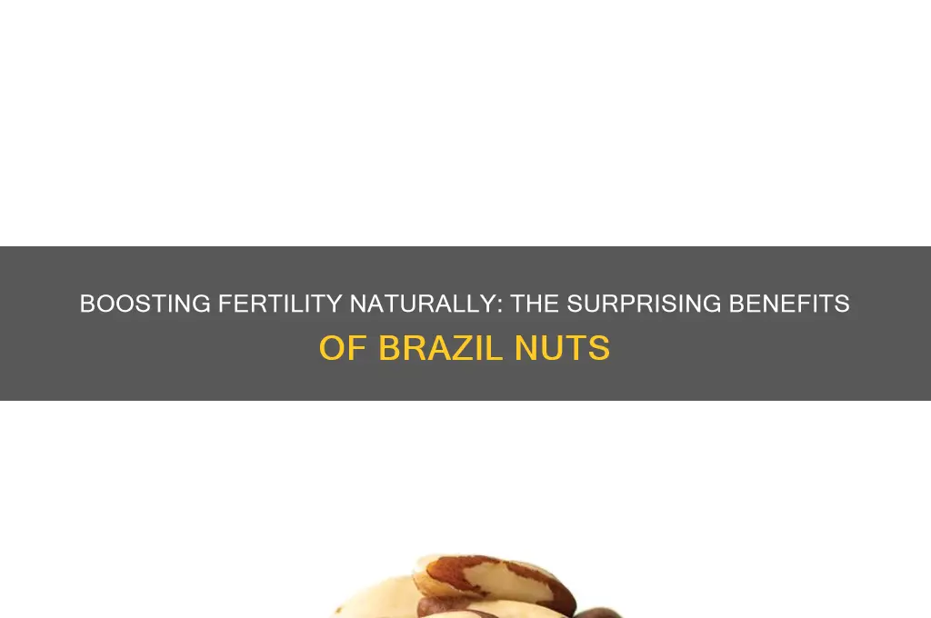 what do brazil nuts do for fertility