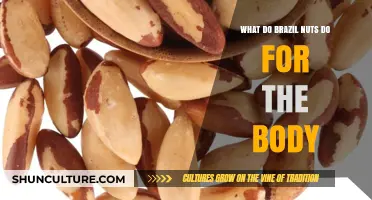 Brazil Nuts Benefits: Boosting Health, Energy, and Vitality Naturally