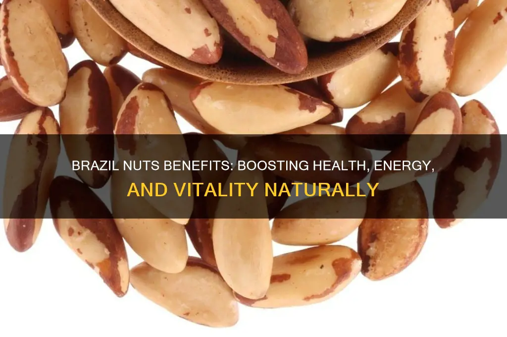what do brazil nuts do for the body